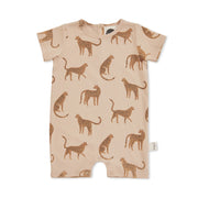 Wildlife Shortall